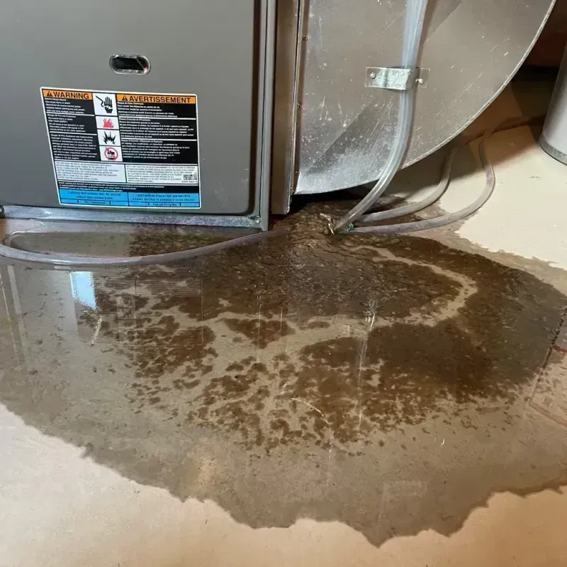 Appliance Leak Cleanup in Jessamine County, KY